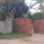 Lokasi judi sabung ayam