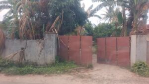 Lokasi judi sabung ayam