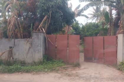 Lokasi judi sabung ayam
